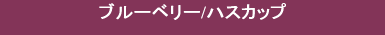 ブルーベリー　ハスカップ