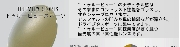tvs10.gif